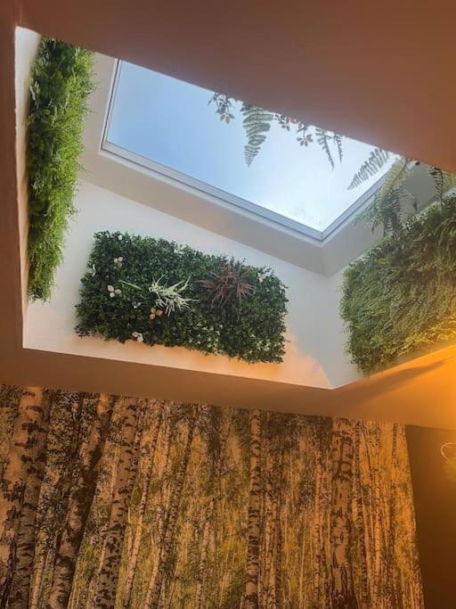 קאלה Appartement Centre Ville מראה חיצוני תמונה